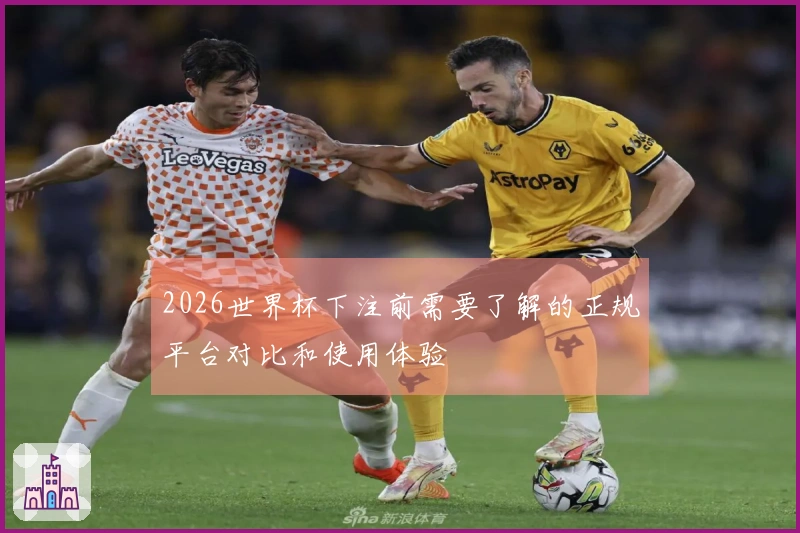 2026世界杯下注前需要了解的正规平台对比和使用体验