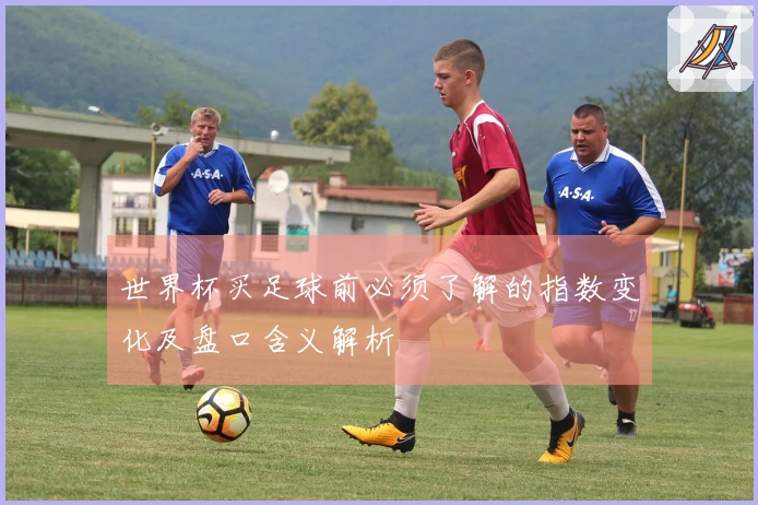 世界杯买足球前必须了解的指数变化及盘口含义解析