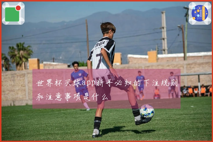 世界杯买球app新手必知的下注规则和注意事项是什么